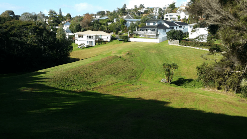 Emlyn Reserve Track Dam