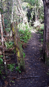 Emlyn Reserve Track Historic Fencepost