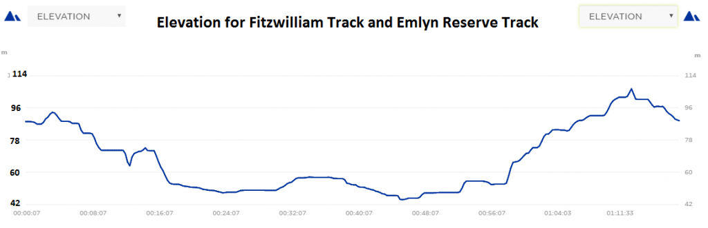 Fitzwilliam and Emlyn Elevation