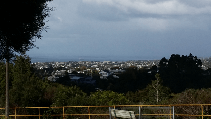 Great Auckland Views