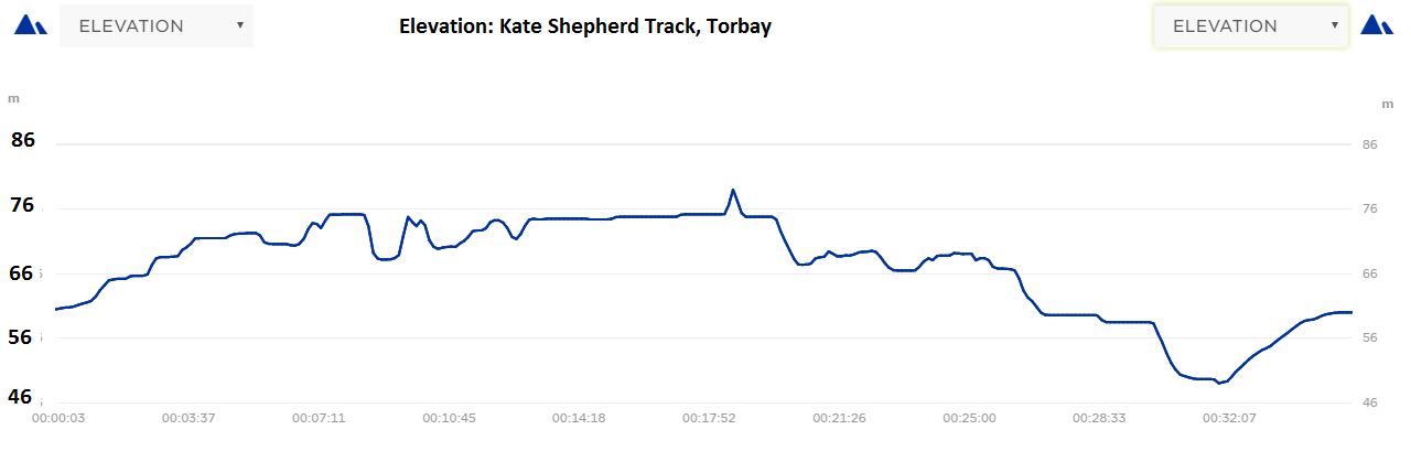 Kate Shepherd Elevation