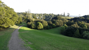 Pt view path to bush