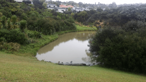 Stredwick Track Lower Pond 