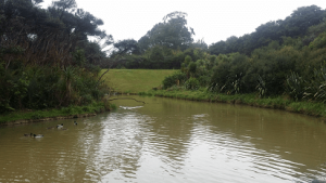 Stredwick Ponds