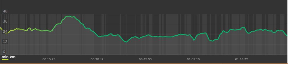 Totara Track in Albany Auckland Elevation Map